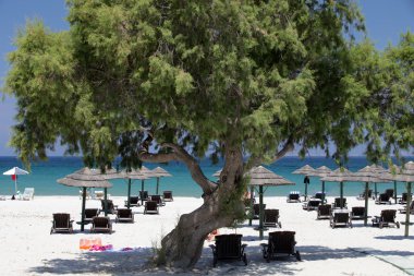 Mastichari beach kos Adası