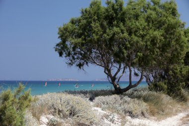 Mastichari beach kos Adası