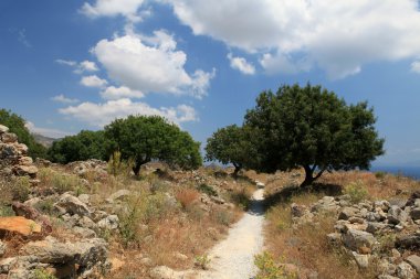 Ruins of the Venetian Castle near Antimachia village clipart