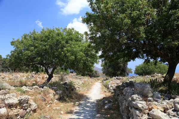 stock image Ruins of the Venetian Castle near Antimachia village