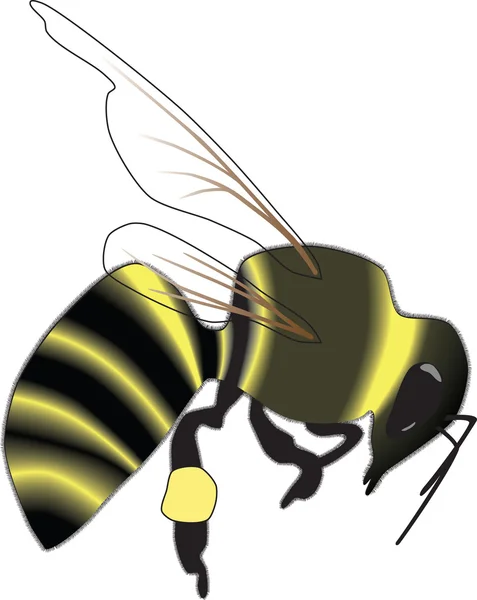 stock vector Bee Vector