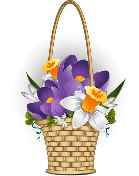 Καλάθι με λουλούδια άνοιξη — Διανυσματικό Αρχείο