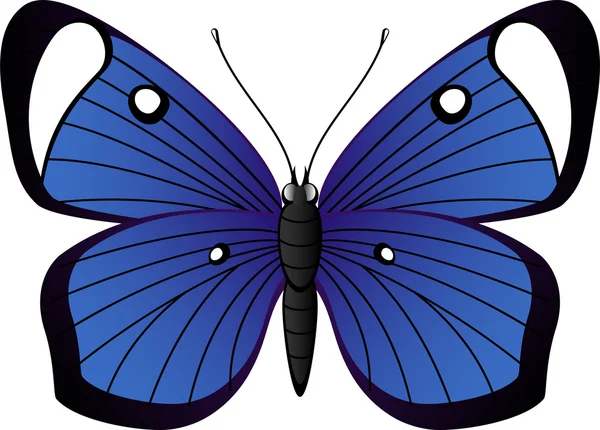 Prachtige tropische vlinder — Stockvector
