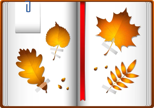 Őszi levelek egy füzetben — Stock Vector
