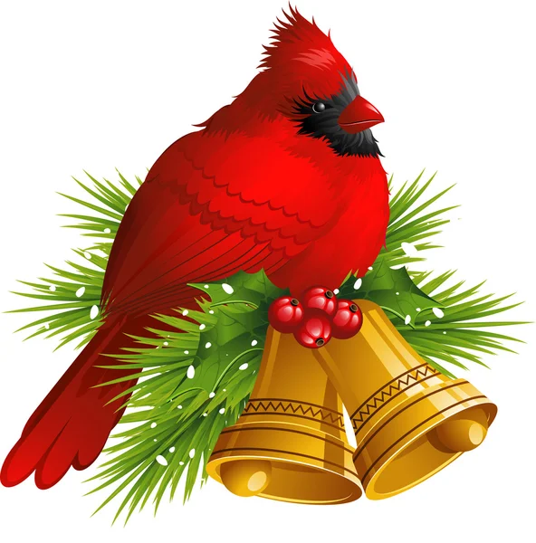 Cardenal pájaro con campanas de Navidad — Vector de stock