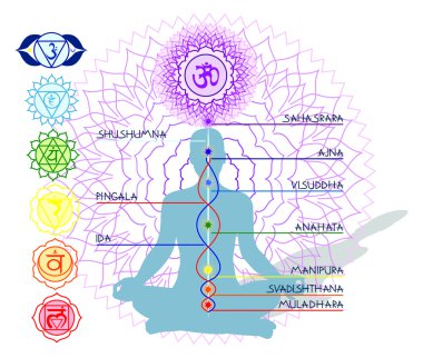 7 Chakras And An Asana clipart