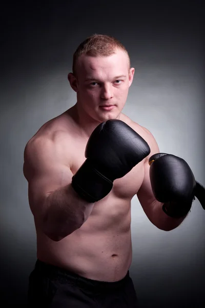Mixed martial artist — Stock Photo, Image