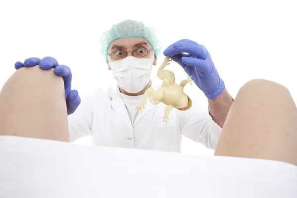 Obstetrician — Stock Photo, Image