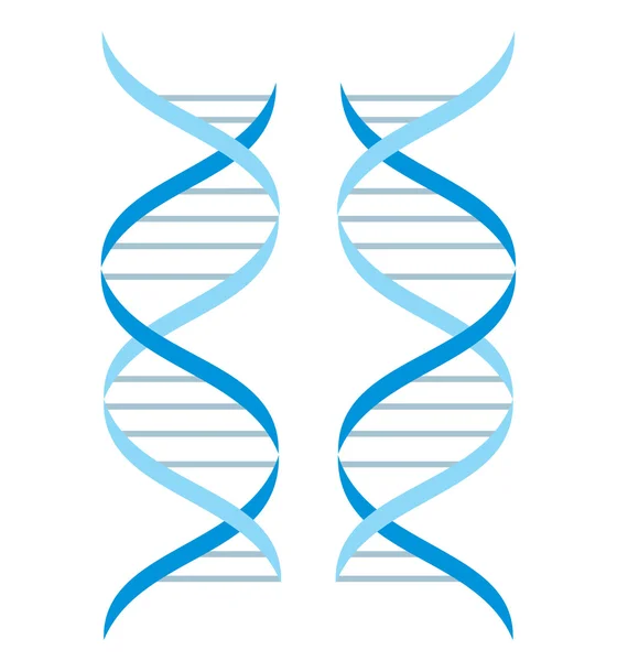 Estructura del ADN — Vector de stock