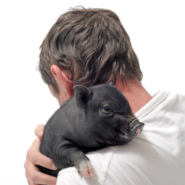 Liitle piggy and man clipart