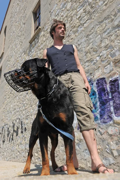 Rottweiler, focinho e homem — Fotografia de Stock
