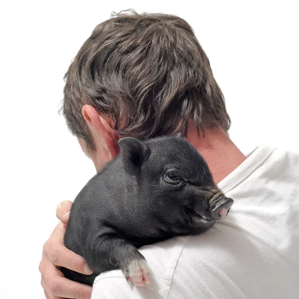 Liitle piggy and man — Stock Photo, Image
