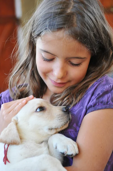 Puppy labrador retriever and little girl — Stock Photo, Image