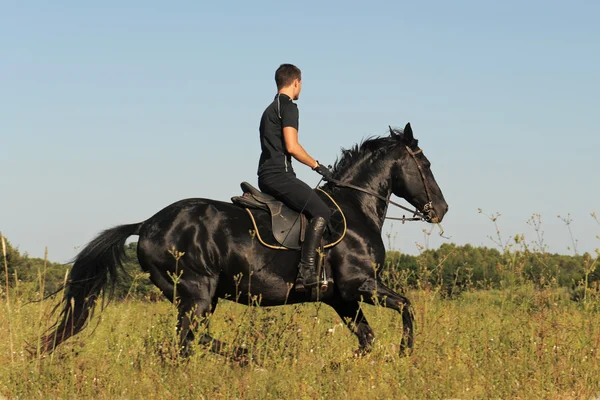 Ung man och häst — Stockfoto