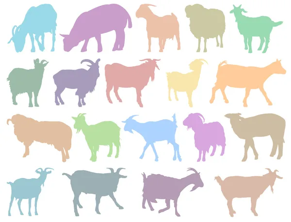 Sylwetki owiec i kóz — Wektor stockowy