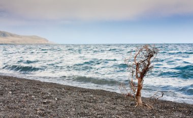 Ermenistan'daki Sevan Gölü