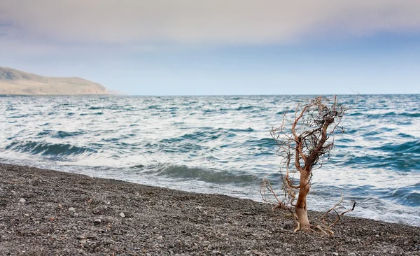 Lago di Sevan in Armenia — Foto Stock