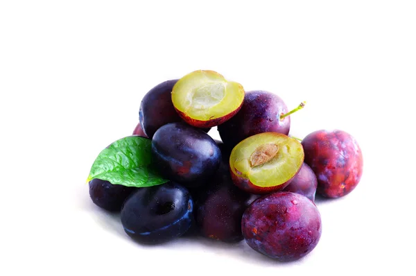 Des prunes. Prunes fraîches lavées mûres sur fond blanc — Photo