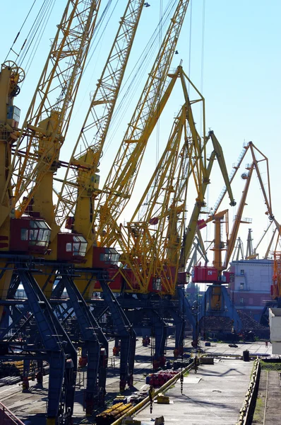 stock image View on seaport with cranes at day