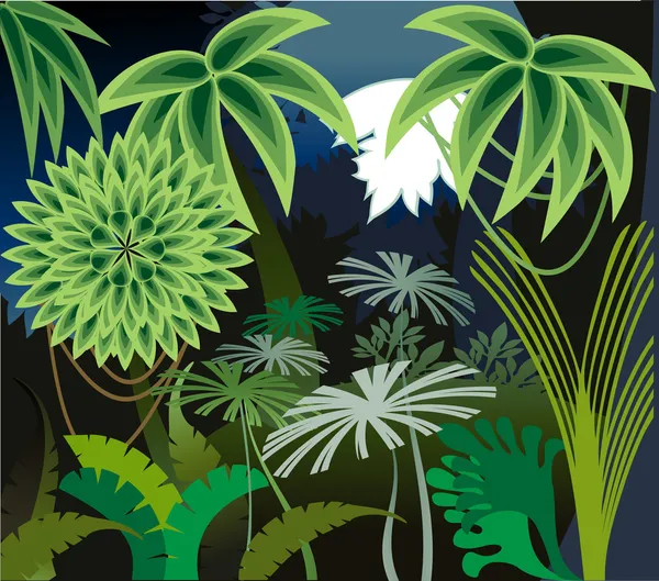 Nuit forêt tropicale — Image vectorielle