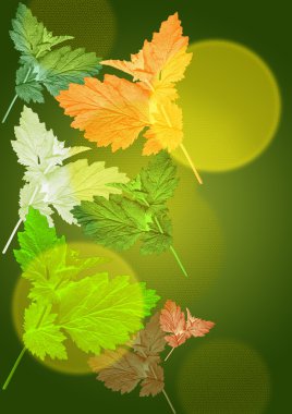 Foliage on a green background clipart