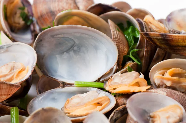 Приготовленные моллюски — стоковое фото