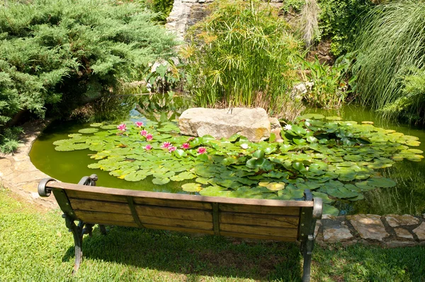 Pond in spring — Stock Photo, Image