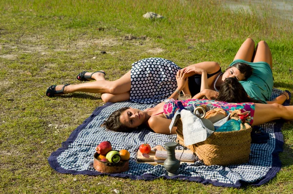 Piknik — Stok fotoğraf