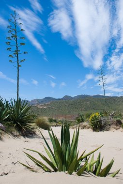 Cabo de Gata