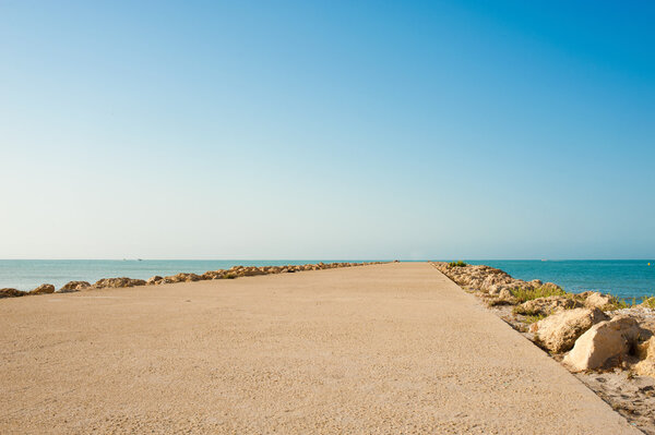 Огромная родинка
