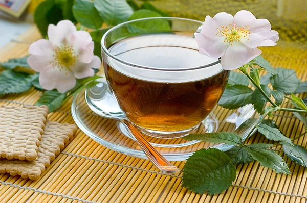 Čaj s květy, pes rose — Stock fotografie