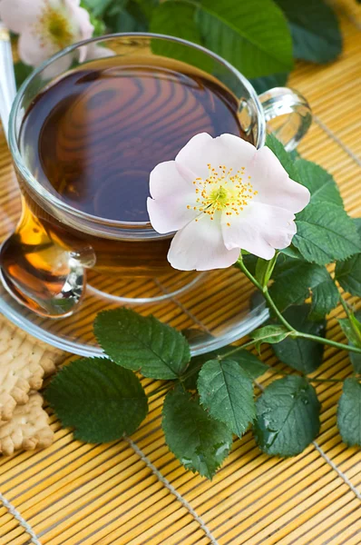Herbata Dzika róża — Zdjęcie stockowe