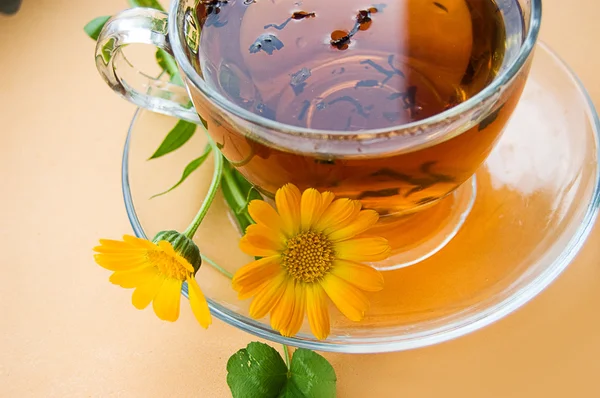 Calendula ile çay — Stok fotoğraf