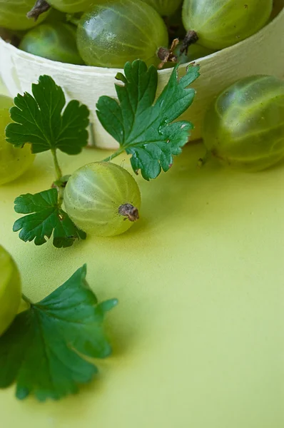 stock image Gooseberries with leaves