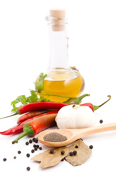 Spices and olive oil — Stock Photo, Image