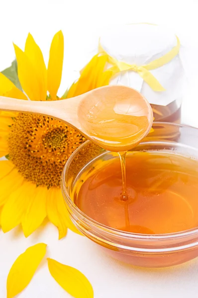 Honing en zonnebloem — Stockfoto