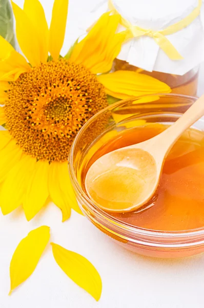 꿀, 해바라기 — 스톡 사진