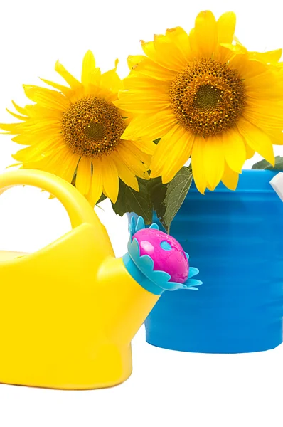 ヒマワリの花束と水まき缶 — ストック写真