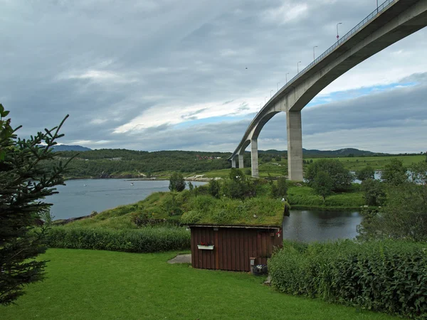 Noruego — Foto de Stock