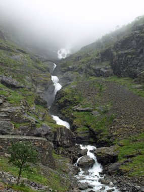 Norveç