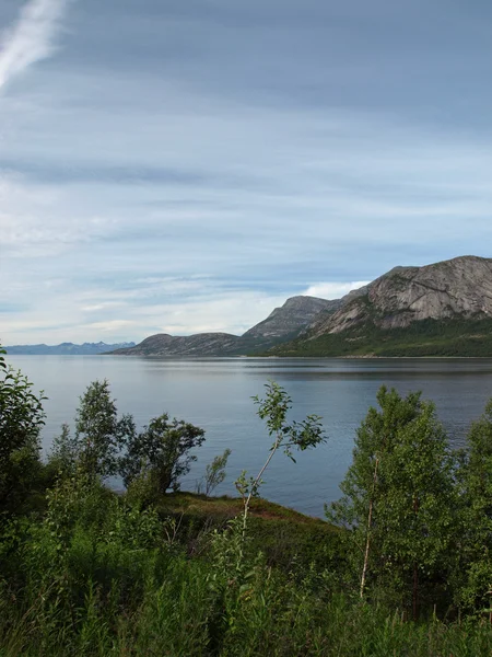 Norveç — Stok fotoğraf