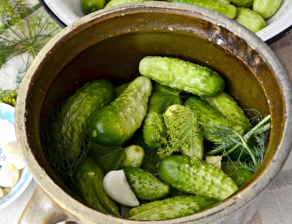 stock image Green cucumbers