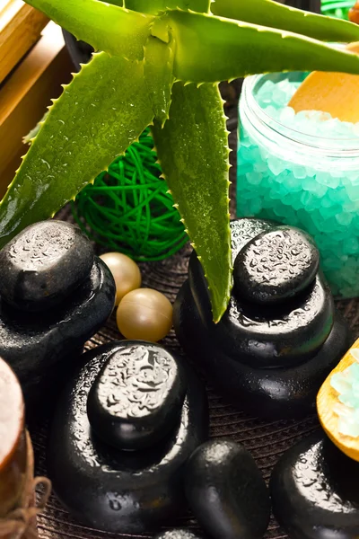 Massage stones and aloe vera — Stock Photo, Image