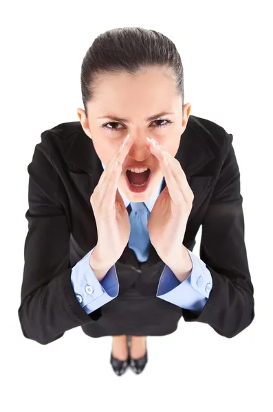Irritado chefe gritando — Fotografia de Stock