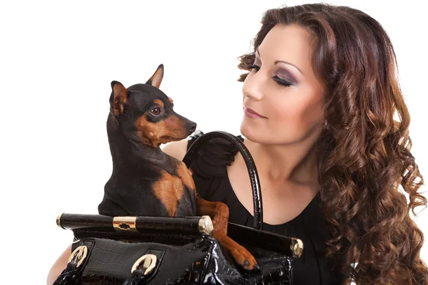 Beautiful woman with dog in purse — Stock Photo, Image