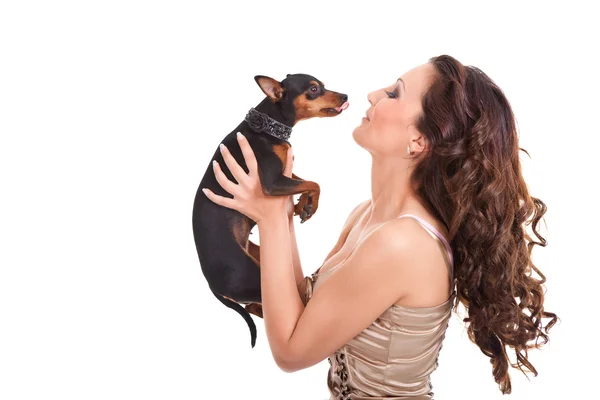 Pequeño perro besándose chica — Foto de Stock
