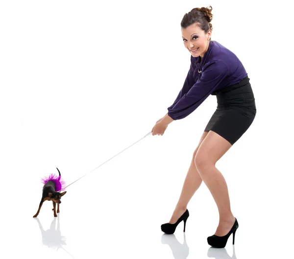 Chica tirando pequeño perro — Foto de Stock