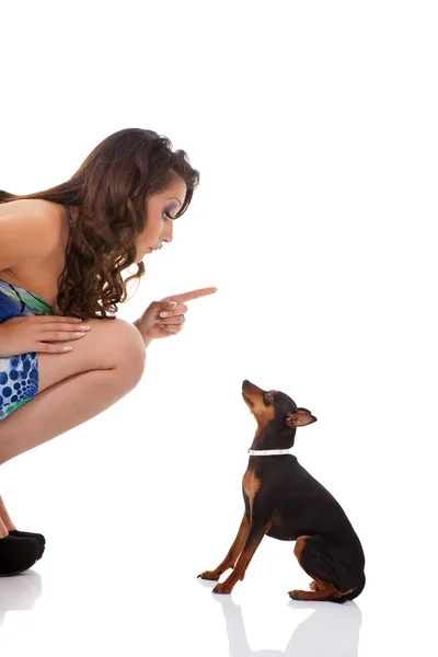 Mujer enseñando su cachorro — Foto de Stock