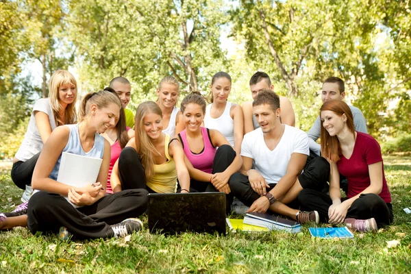 Students with laptop in park — Stock Photo, Image