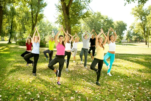 Yoga group, tree position, — Stock Photo, Image